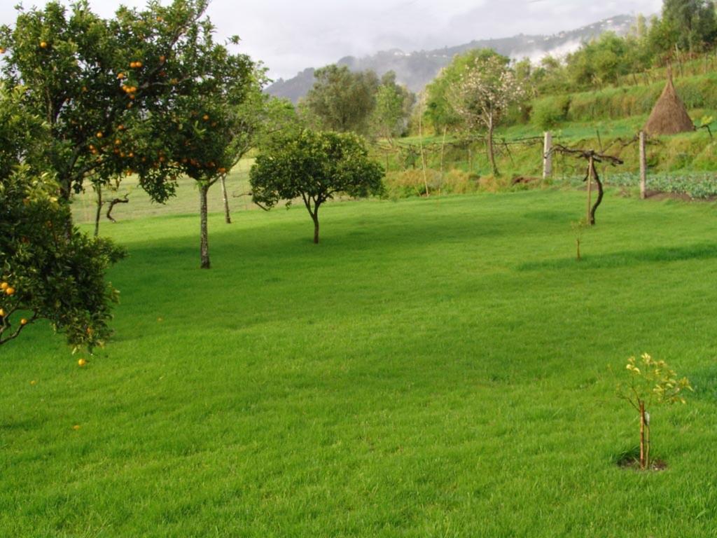 Quinta De Santa Marinha Apartment Arcos de Valdevez Ngoại thất bức ảnh